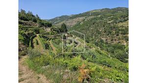 Quinta T0 - Varzea de Abrunhais, Lamego, Viseu - Miniatura: 5/20