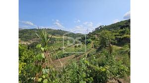 Quinta T0 - Varzea de Abrunhais, Lamego, Viseu - Miniatura: 7/20