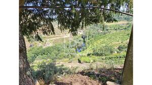 Quinta T0 - Varzea de Abrunhais, Lamego, Viseu - Miniatura: 13/20