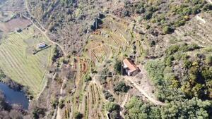 Quinta T0 - Varzea de Abrunhais, Lamego, Viseu - Miniatura: 19/20