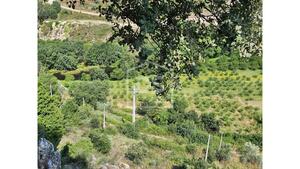 Quinta T0 - Varzea de Abrunhais, Lamego, Viseu - Miniatura: 17/24