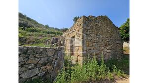 Quinta T0 - Varzea de Abrunhais, Lamego, Viseu - Miniatura: 18/24