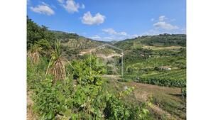 Quinta T0 - Varzea de Abrunhais, Lamego, Viseu - Miniatura: 21/24