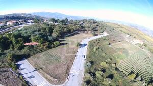 Terreno Rstico T0 - Almacave, Lamego, Viseu - Miniatura: 9/15