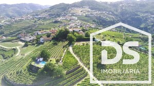 Moradia T4 - Peso da R�gua, Peso da R�gua, Vila Real - Miniatura: 24/24