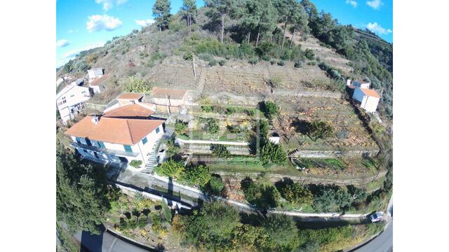 Quinta T4 - Poiares, Peso da Régua, Vila Real - Imagem grande