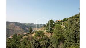 Quinta T4 - Poiares, Peso da Rgua, Vila Real - Miniatura: 1/16