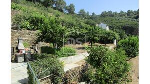 Quinta T4 - Poiares, Peso da Rgua, Vila Real - Miniatura: 3/16
