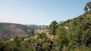 Quinta T4 - Poiares, Peso da Rgua, Vila Real - Miniatura: 8/16