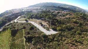 Terreno Rstico T0 - Almacave, Lamego, Viseu - Miniatura: 15/15