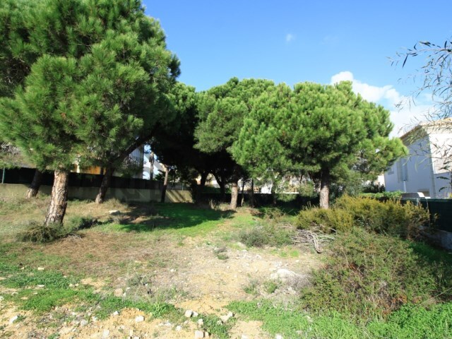 Terreno Rstico - Almancil, Loul, Faro (Algarve) - Imagem grande