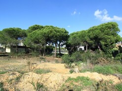 Terreno Rstico - Almancil, Loul, Faro (Algarve)