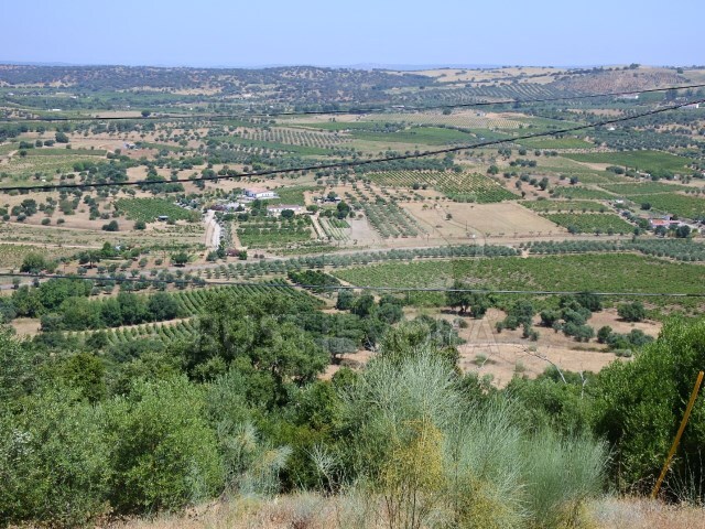 Quinta - Vila de Frades, Vidigueira, Beja - Imagem grande