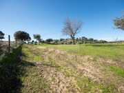 Quinta - Selmes, Vidigueira, Beja - Miniatura: 3/9