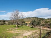 Quinta - Selmes, Vidigueira, Beja - Miniatura: 5/9