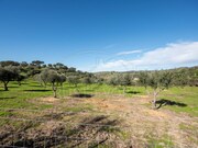 Quinta - Selmes, Vidigueira, Beja - Miniatura: 6/9