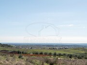 Quinta - Selmes, Vidigueira, Beja - Miniatura: 8/9