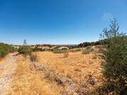 Quinta T3 - Monsaraz, Reguengos de Monsaraz, vora - Miniatura: 8/9