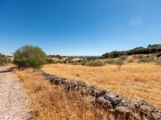 Quinta T3 - Monsaraz, Reguengos de Monsaraz, vora - Miniatura: 9/9