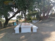 Terreno Rstico - Vila de Frades, Vidigueira, Beja - Miniatura: 8/9