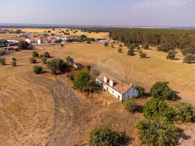 Quinta T3 - Foros de Vale Figueira, Montemor-o-Novo, vora - Imagem grande