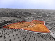 Quinta T4 - Portel, Portel, vora - Miniatura: 7/9