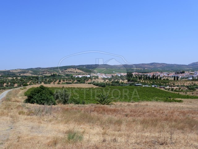 Quinta T0 - Vila de Frades, Vidigueira, Beja - Imagem grande
