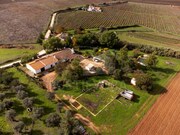 Quinta T3 - Matriz (Borba), Borba, vora