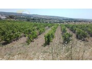 Quinta T0 - Vila de Frades, Vidigueira, Beja - Miniatura: 1/9