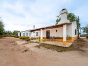 Quinta T3 - Matriz (Borba), Borba, vora - Miniatura: 6/9