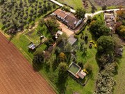 Quinta T3 - Matriz (Borba), Borba, vora - Miniatura: 9/9