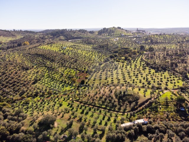 Terreno Rstico - Portel, Portel, vora - Imagem grande