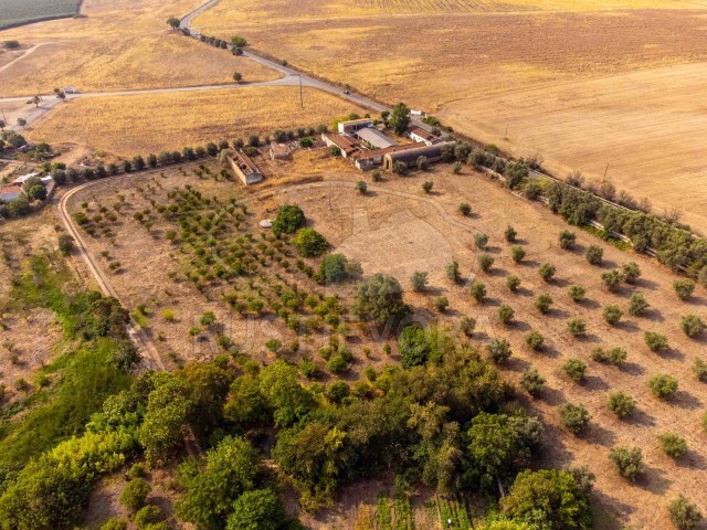 Terreno Urbano - Não Definido, Beja, Beja - Imagem grande
