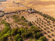 Terreno Urbano - No Definido, Beja, Beja