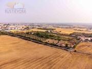 Terreno Urbano - Beja, Beja, Beja - Miniatura: 5/9