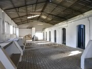 Terreno Rstico - Viana do Alentejo, Viana do Alentejo, vora - Miniatura: 7/9
