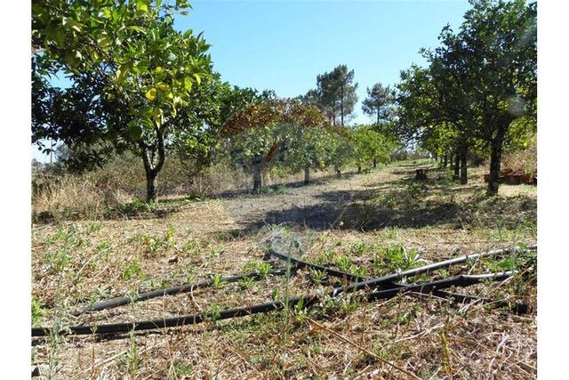 Terreno em Torres Novas