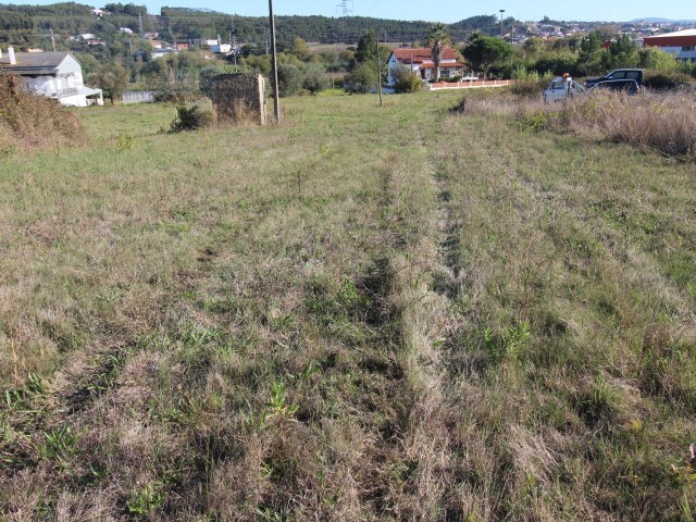 Terreno em Leiria
