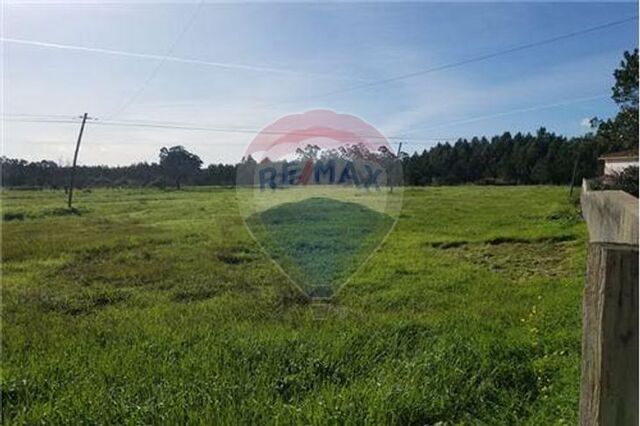 Terreno em Montemor-o-Velho