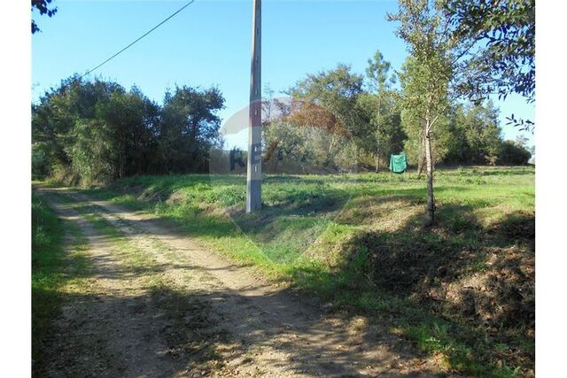 Terreno em Soure