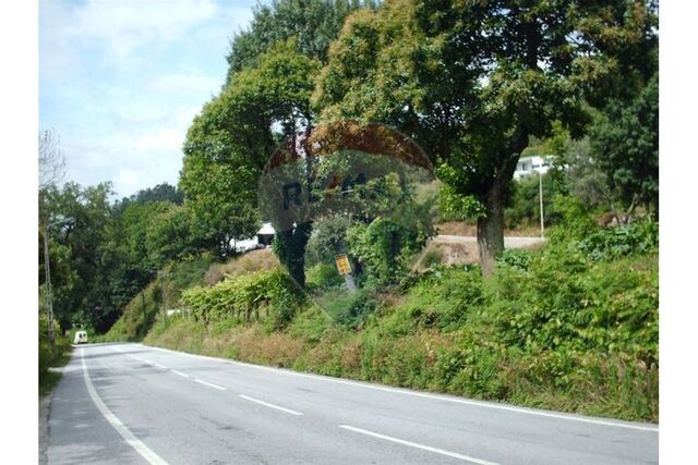 Terreno em Ponte da Barca