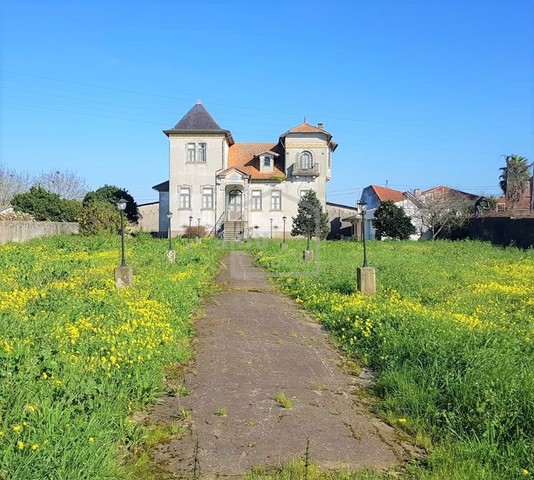Quinta em Estarreja