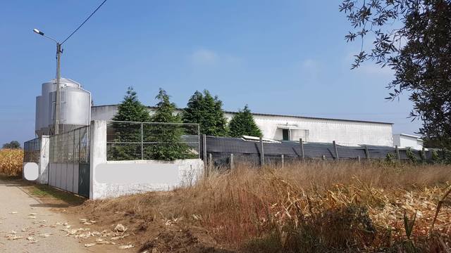 Armaz�m T0 em Estarreja