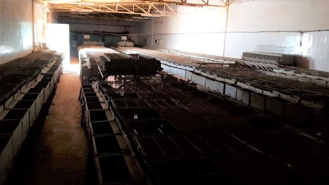 Armaz�m T0 em Estarreja