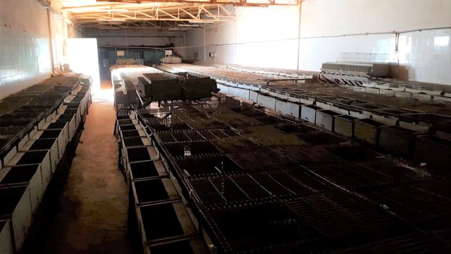 Armaz�m T0 em Estarreja