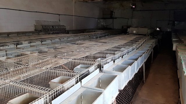 Armaz�m T0 em Estarreja