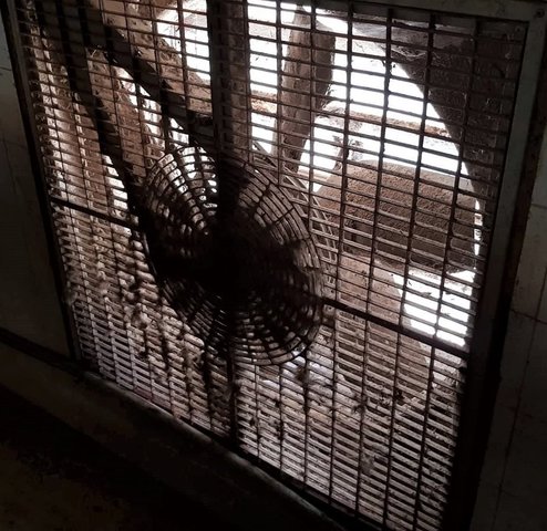 Armaz�m T0 em Estarreja