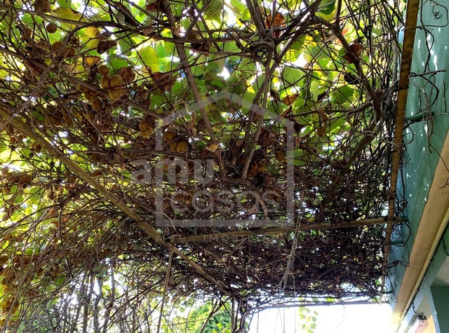 Moradia T3 em Estarreja