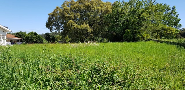 Terreno em Estarreja