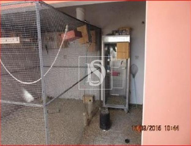 Moradia T5 em Alpiar�a